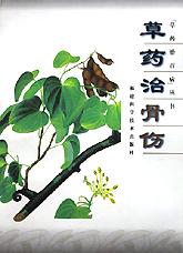 草药治骨伤/草药治百病丛书 pdf epub mobi 下载