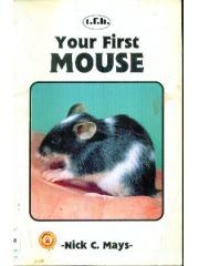 Your First Mouse pdf epub mobi 电子书 下载
