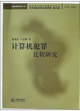 计算机犯罪比较研究 pdf epub mobi 电子书 下载