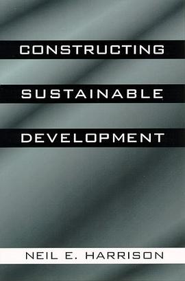 Constructing Sustainable Development pdf epub mobi 电子书 下载