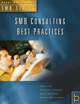 SMB Consulting Best Practices (Smb Series) pdf epub mobi 电子书 下载