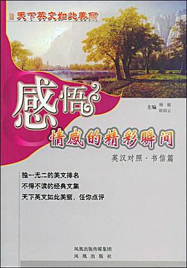 感悟情感的精彩瞬间 pdf epub mobi 电子书 下载