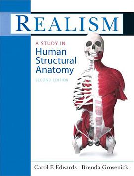 Realism pdf epub mobi 电子书 下载