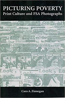 Picturing Poverty pdf epub mobi 下载