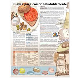 Keys to Healthy Eating Anatomical Chart in Spanish pdf epub mobi 电子书 下载