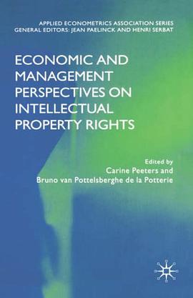 Economic and Management Perspectives on Intellectual Property Rights pdf epub mobi 电子书 下载