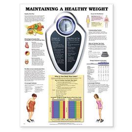 Maintaining A Healthy Weight pdf epub mobi 电子书 下载