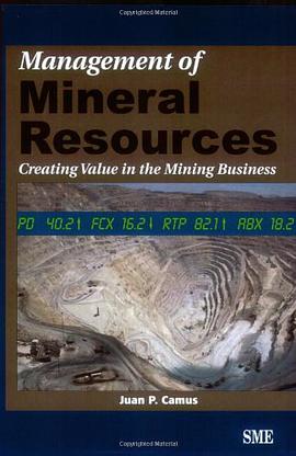 Management of Mineral Resources pdf epub mobi 电子书 下载