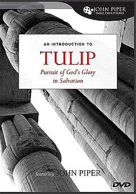 Tulip pdf epub mobi 电子书 下载