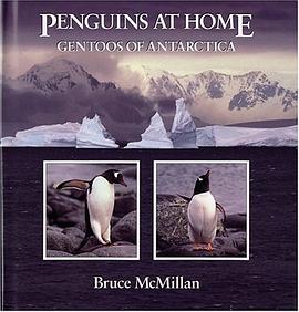 Penguins at Home pdf epub mobi 电子书 下载