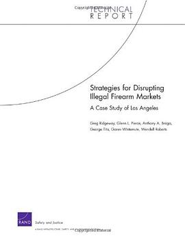 Strategies for Disrupting Illegal Firearms Markets pdf epub mobi 电子书 下载