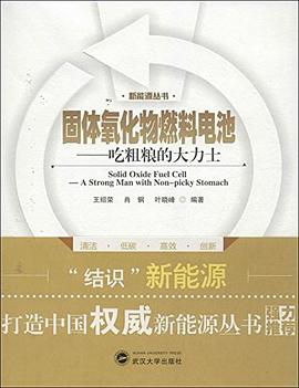 固体氧化物燃料电池