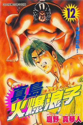 真島火爆浪子12 pdf epub mobi 电子书 下载