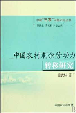 中国农村剩余劳动力转移研究 pdf epub mobi 电子书 下载