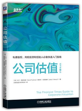 公司估值 pdf epub mobi 电子书 下载