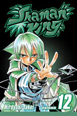 Shaman King, Volume 12 (Shaman King (Graphic Novels)) pdf epub mobi 电子书 下载