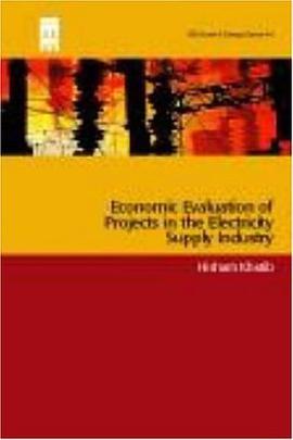 Economic Evaluation of Projects in the Electricity Supply Industry (IEE Power & Energy Series) pdf epub mobi 電子書 下載