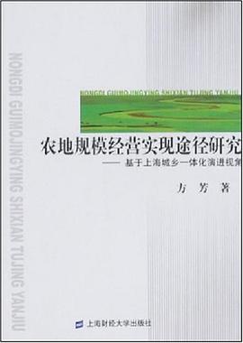 农地规模经营实现途径研究 pdf epub mobi 电子书 下载
