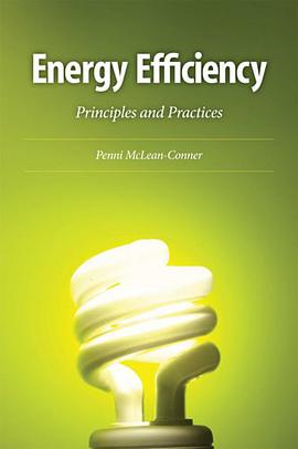 Energy Efficiency pdf epub mobi 电子书 下载