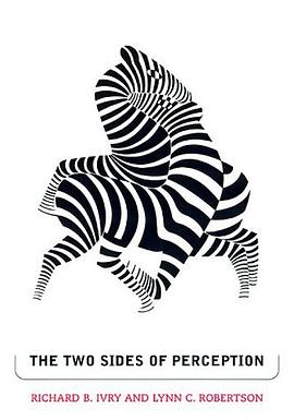 The Two Sides of Perception (Cognitive Neuroscience) pdf epub mobi 电子书 下载