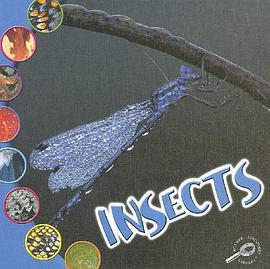 Insects