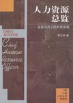 人力资源总监 pdf epub mobi 电子书 下载