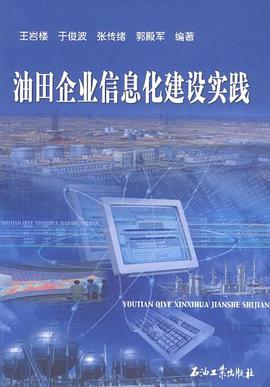 油田企业信息化建设实践 pdf epub mobi 电子书 下载