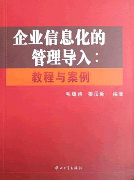 企业信息化的管理导入