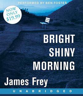 Bright Shiny Morning pdf epub mobi 电子书 下载
