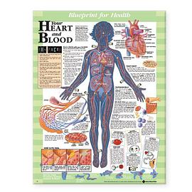 Blueprint for Health Your Heart and Blood Chart pdf epub mobi 电子书 下载