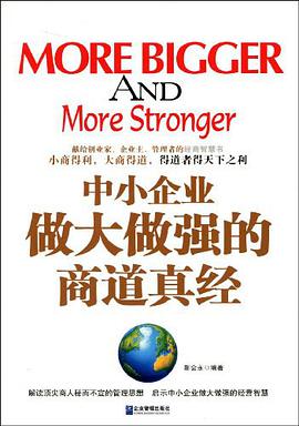 中小企业做大做强的商道真经 pdf epub mobi 电子书 下载