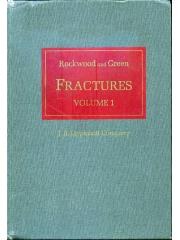 Fractures pdf epub mobi 电子书 下载