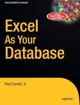 Excel as Your Database pdf epub mobi 电子书 下载