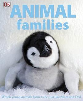 Animal Families pdf epub mobi 電子書 下載