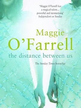 The Distance Between Us pdf epub mobi 电子书 下载