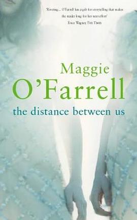 The Distance Between Us pdf epub mobi 電子書 下載