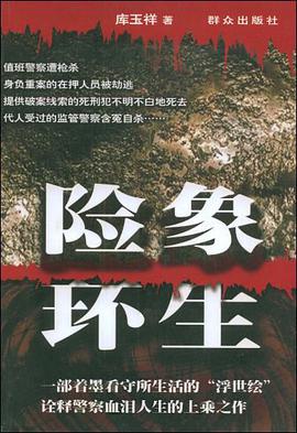 险象环生 pdf epub mobi 电子书 下载