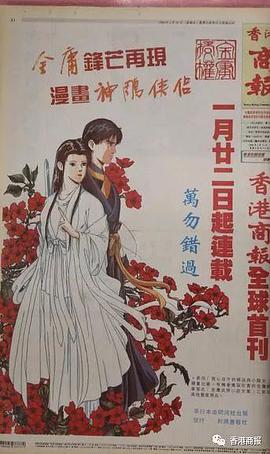 神雕侠侣金庸13碟装国语配音(VCD)