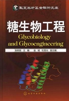 糖生物工程 pdf epub mobi 电子书 下载