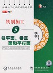 铣削加工5铣平面、垂直面和平行面1VCD pdf epub mobi 电子书 下载