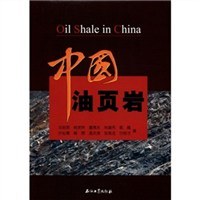 中国油页岩 pdf epub mobi 电子书 下载