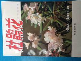 杜鹃花 pdf epub mobi 电子书 下载
