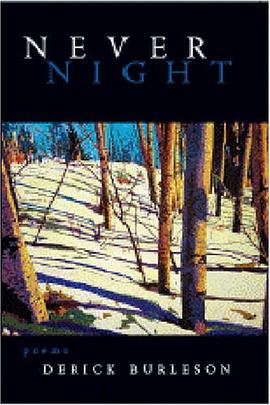 Never Night pdf epub mobi 电子书 下载