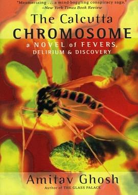 The Calcutta Chromosome pdf epub mobi 电子书 下载