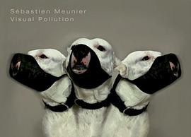 Visual Pollution pdf epub mobi 電子書 下載