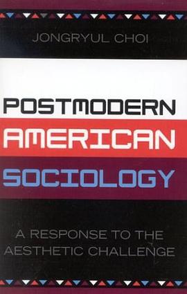 Postmodern American Sociology pdf epub mobi 电子书 下载
