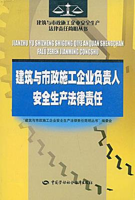 建筑与市政施工企业负责人安全生产法律责任 pdf epub mobi 下载