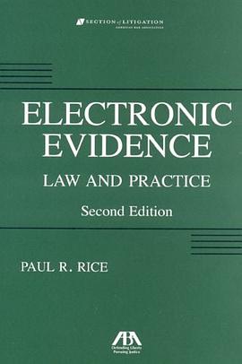 Electronic Evidence pdf epub mobi 电子书 下载