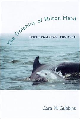 The Dolphins of Hilton Head pdf epub mobi 电子书 下载