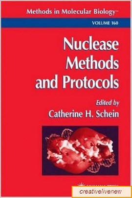 Nuclease Methods and Protocols pdf epub mobi 下载
